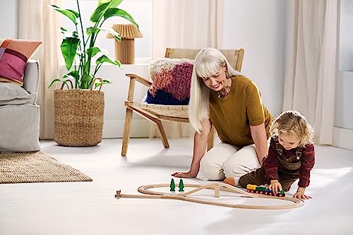 BRIO 36036-65 Jahre Holzeisenbahn Jubiläums-Zugset - Holzspielzeug